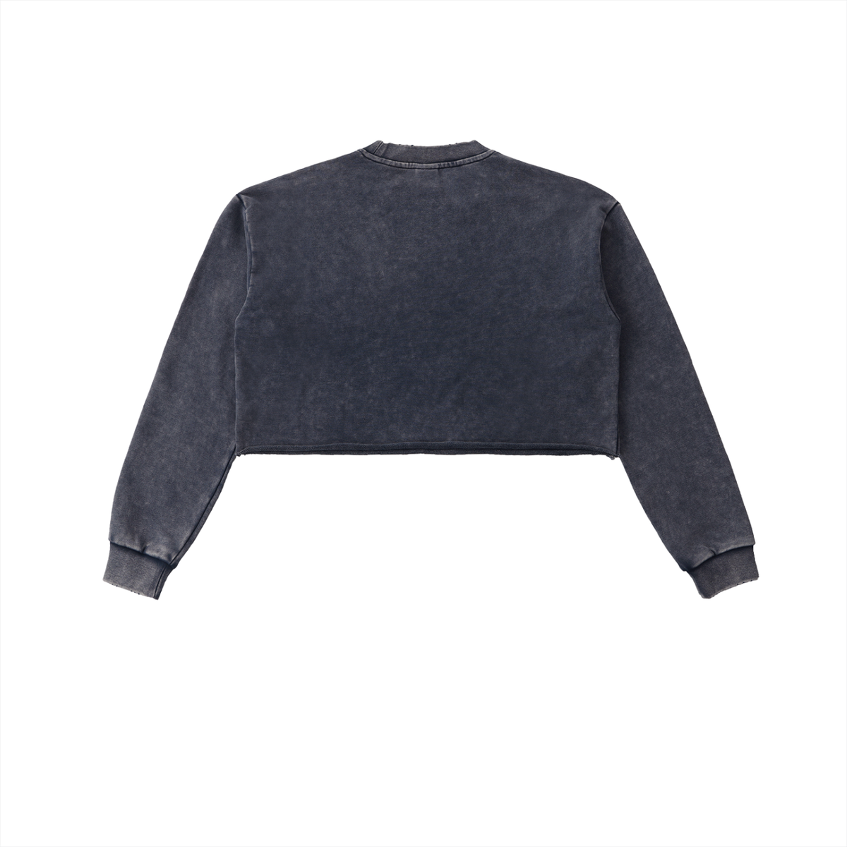 SPEED SOCIETY LOGO (Cropped Sweatshirt)